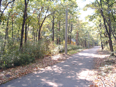  栃木県那須塩原市西岩崎字大輪地