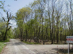  宮城県大崎市岩出山南沢字宮守沢