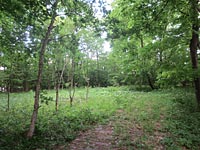  宮城県大崎市岩出山南沢字宮守沢