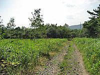  北海道登別市上登別町