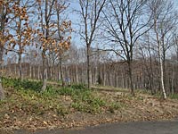 北海道石狩市厚田区望来