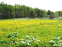  北海道石狩市厚田区聚富