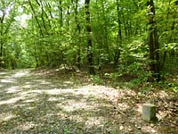  栃木県那須塩原市遅野沢