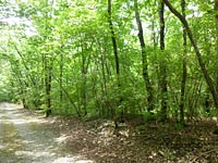  栃木県那須塩原市遅野沢