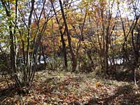  茨城県笠間市笠間