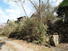  大分県日田市天ヶ瀬町本城