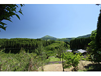 detached 大分県玖珠郡九重町大字菅原