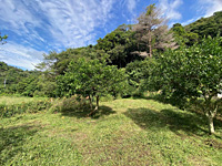 detached 千葉県館山市正木