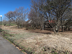  大分県玖珠郡九重町大字田野