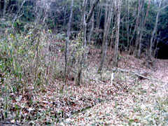  岡山県久米郡美咲町休石