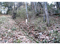  岡山県久米郡美咲町休石