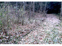  岡山県久米郡美咲町休石