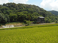 detached 和歌山県日高郡日高町比井