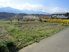  長野県上伊那郡中川村大草