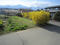  長野県上伊那郡中川村大草