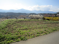  長野県上伊那郡中川村大草