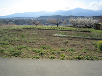  長野県上伊那郡中川村大草