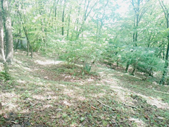  宮城県大崎市岩出山字細峯