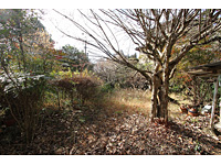 detached 大分県玖珠郡玖珠町大字森