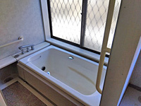 detached 長野県下伊那郡大鹿村鹿塩