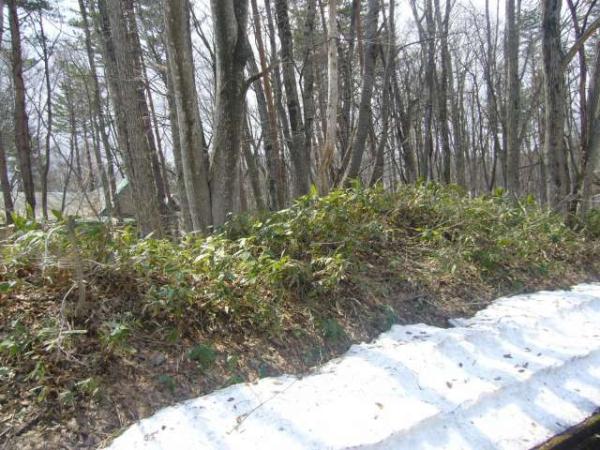  松尾寄木第1地割