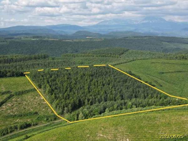  上川郡美瑛町字ｳﾊﾞｸﾍﾞﾂ1358-68 他5筆