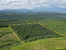  上川郡美瑛町字ｳﾊﾞｸﾍﾞﾂ1358-68 他5筆