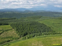  上川郡美瑛町字ｳﾊﾞｸﾍﾞﾂ1358-68 他5筆