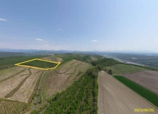  上川郡美瑛町字ｳﾊﾞｸﾍﾞﾂ1358-68 他5筆