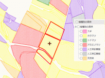  上川郡美瑛町字ｳﾊﾞｸﾍﾞﾂ1358-68 他5筆