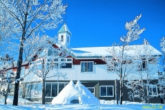 commercial 上川郡美瑛町美瑛原野区画外(住所表示:大村村山)