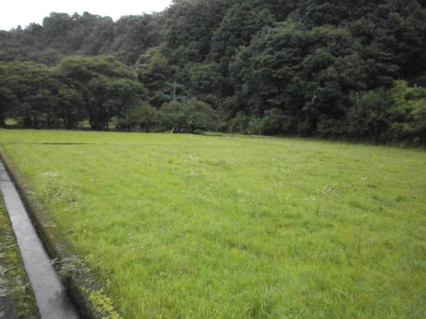 detached 熊野川町上長井