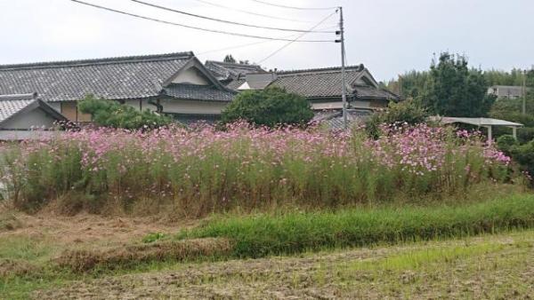 detached さぬき市寒川町神崎247