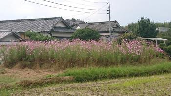 detached さぬき市寒川町神崎247