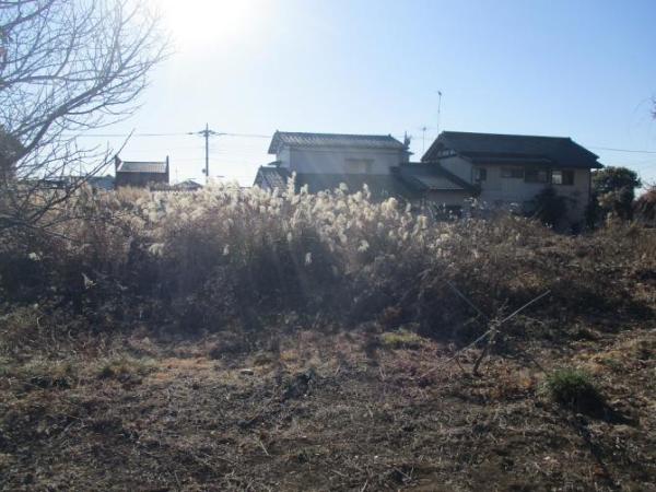  かすみがうら市牛渡字八田池下