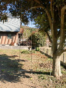 detached 谷汲徳積