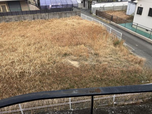  撫養町北浜字宮の西106番3，106番4