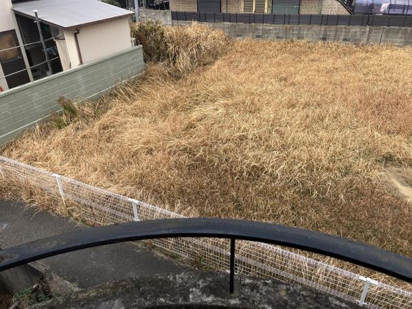  撫養町北浜字宮の西106番3，106番4