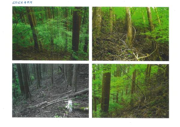  木頭折宇字向12