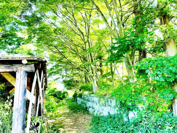 detached 板倉区下米沢