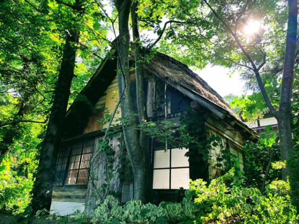 detached 板倉区下米沢