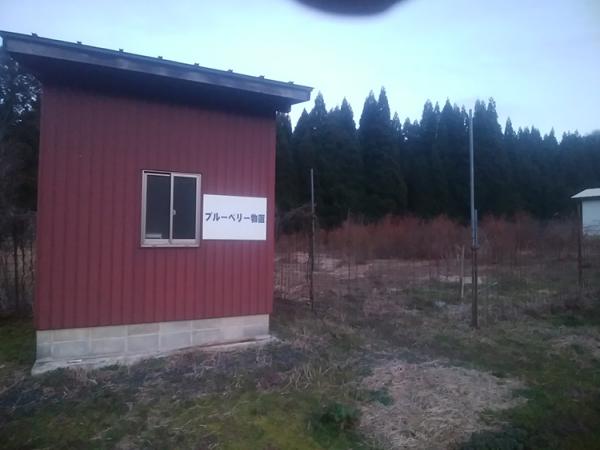 detached 越前市丸岡町73-3-1