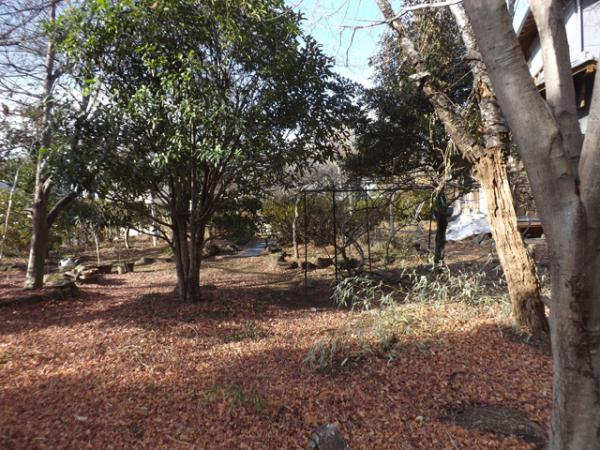 detached 大字末野