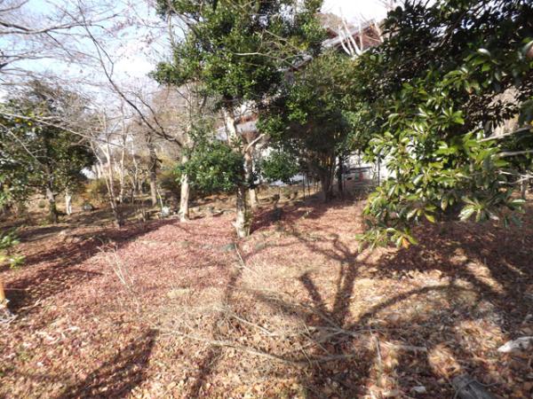 detached 大字末野