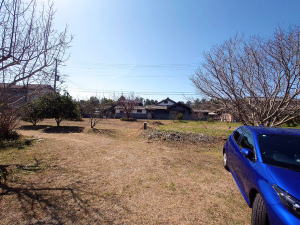 detached 646-0002 a̎Rcӎs㖜C5-24