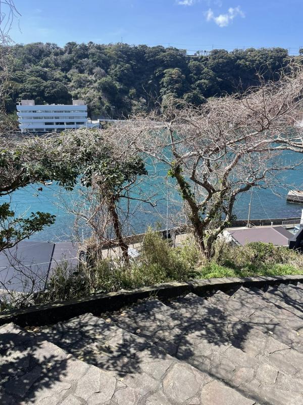 detached 大島町波浮港1番地