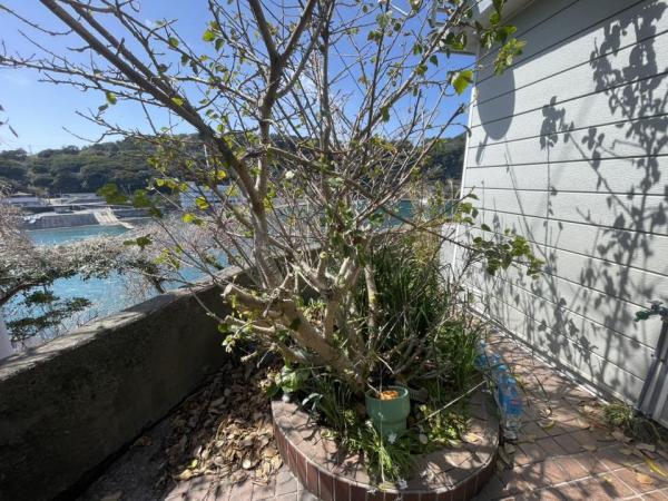 detached 大島町波浮港1番地