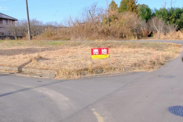  第5トーホーランド内