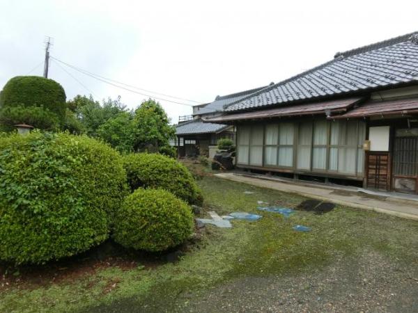 detached 那珂西