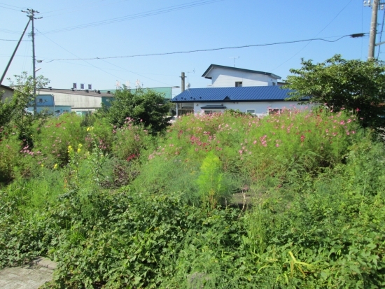  入江